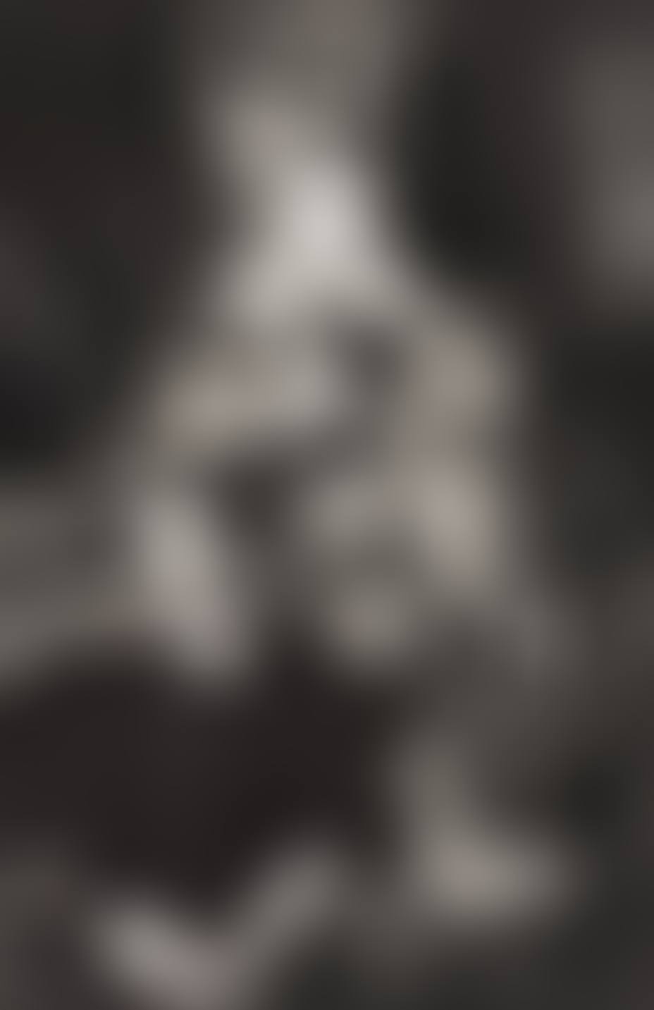 The Duke and Duchess of Windsor, Paris (preview)