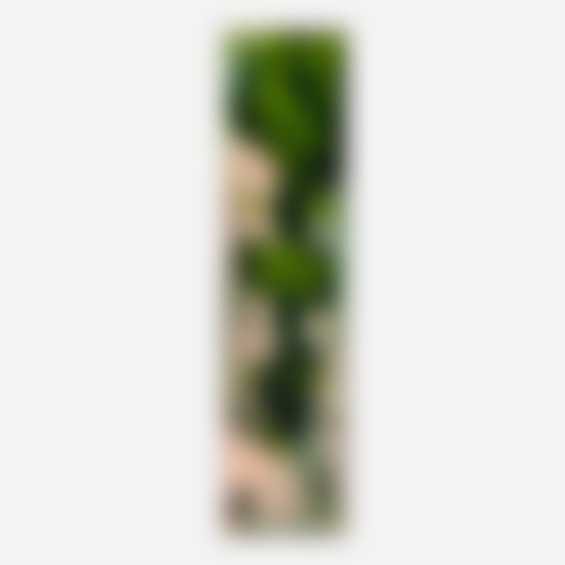 Untitled (preview)