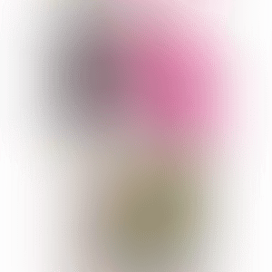 Balloon Venus Dom Pérignon (preview)