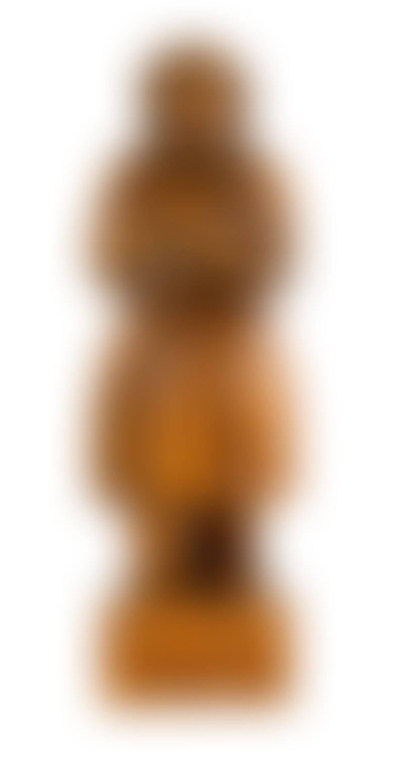 Woman with cat (preview)