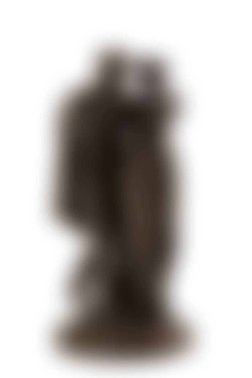 Szarmancki pocalunek (preview)