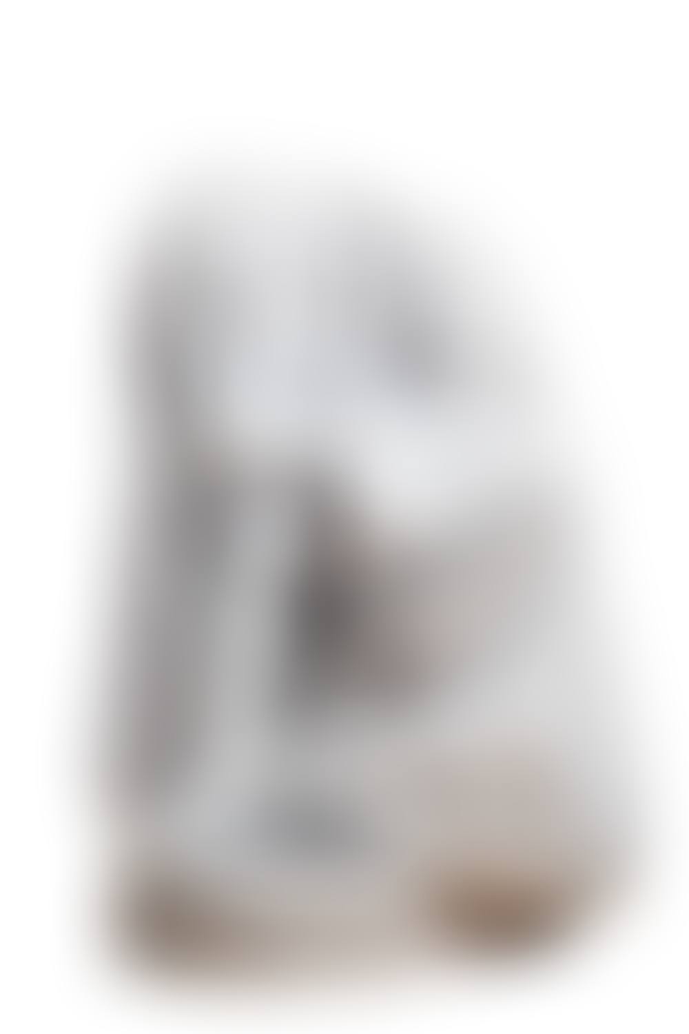 Lo spinario (preview)