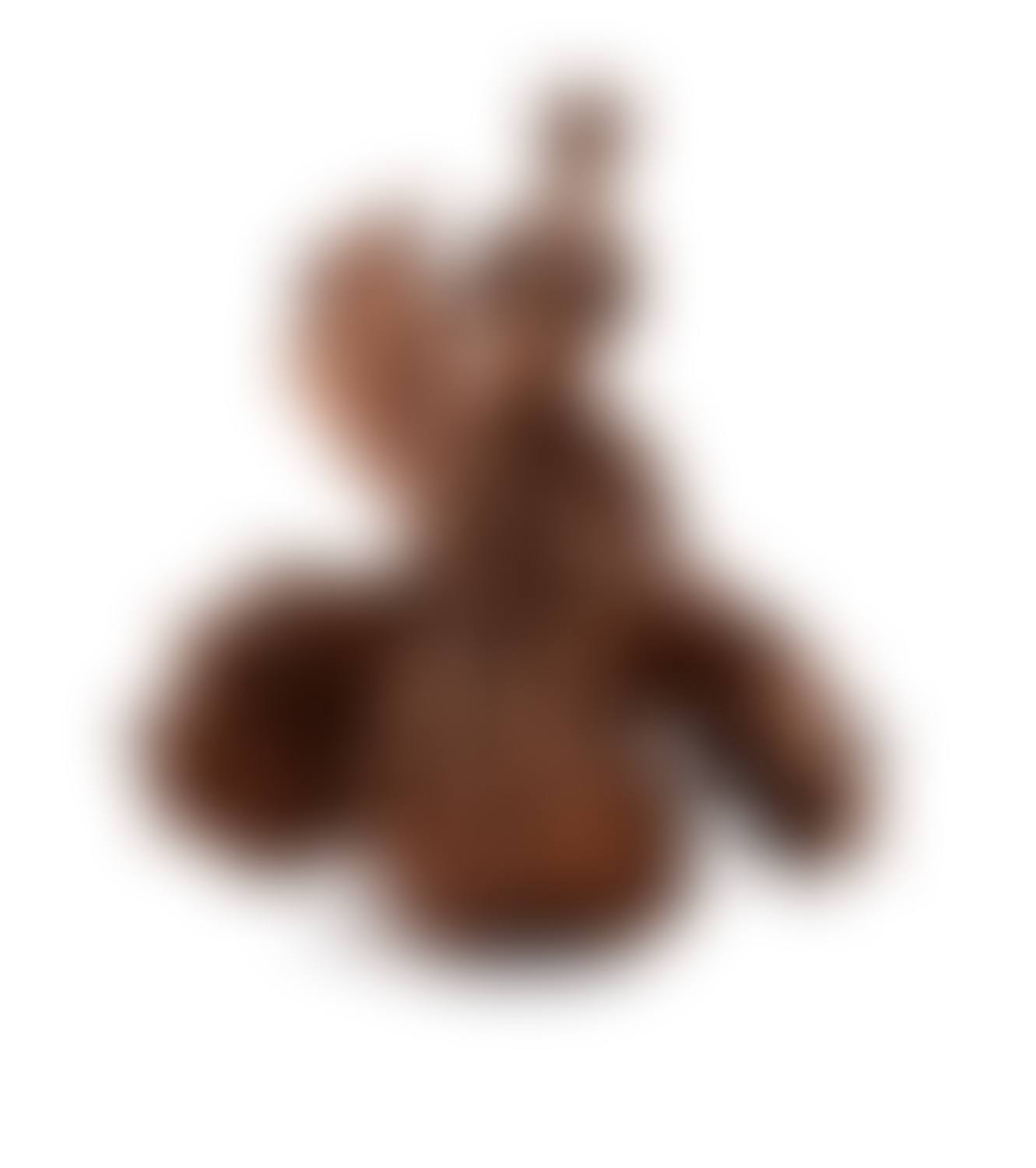 Kogut (preview)