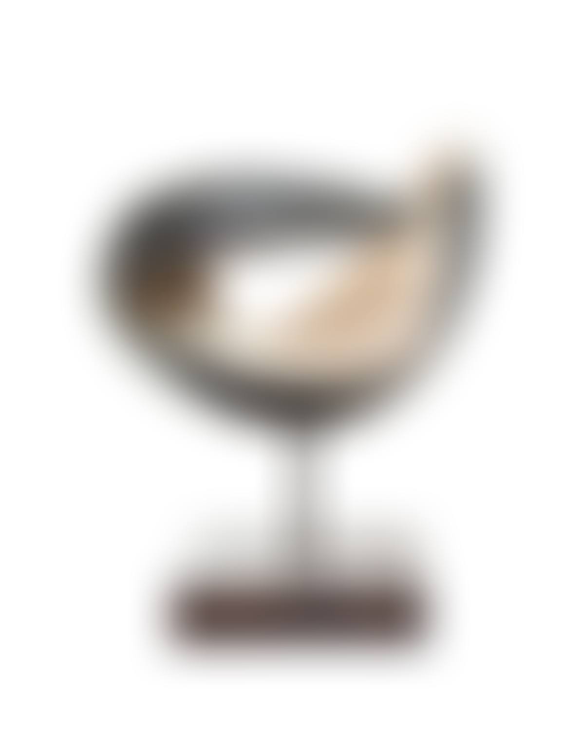 Bird (preview)