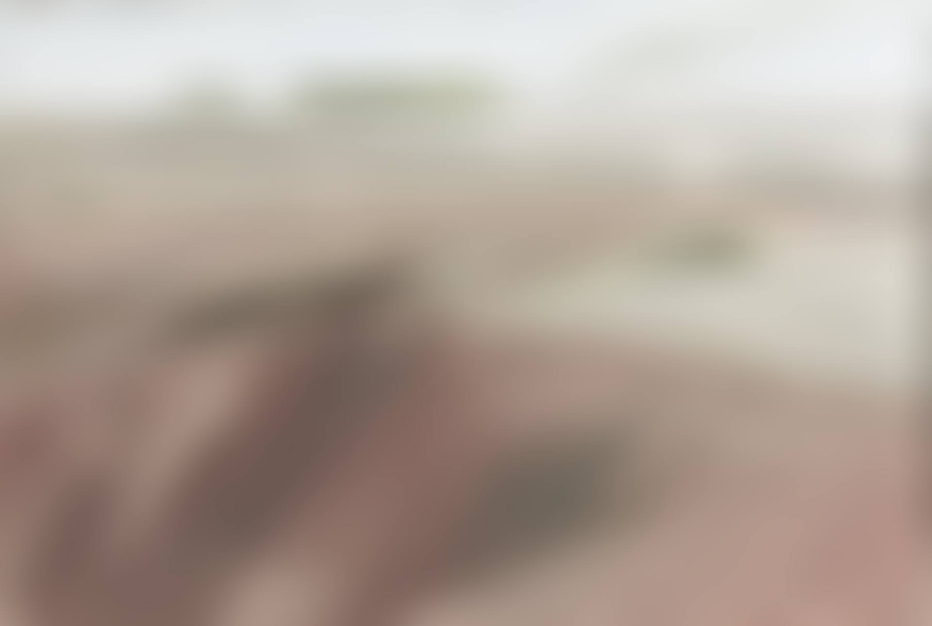 From Fårö (preview)