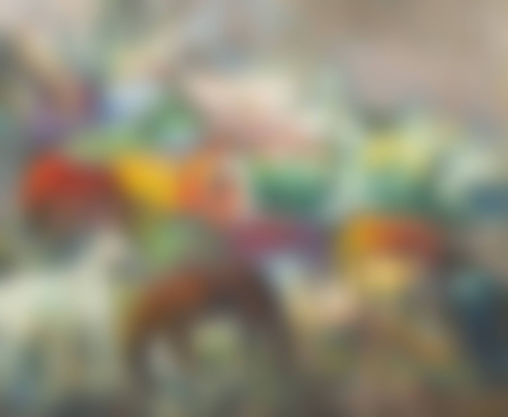 Chevaux de Camargue (preview)