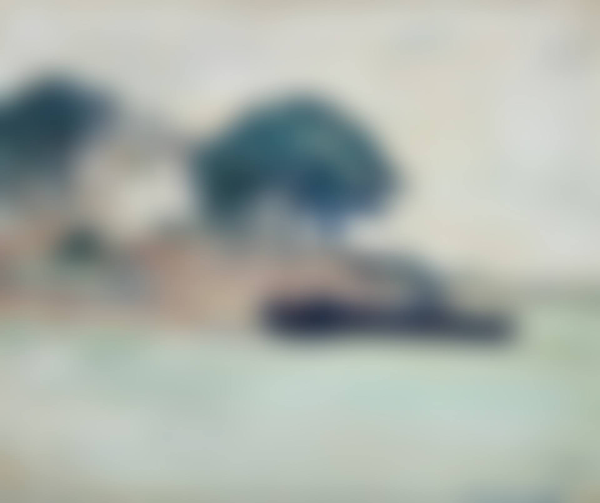 Vue présumée de l'île de Saint-Cado à Belz, Morbihan (preview)