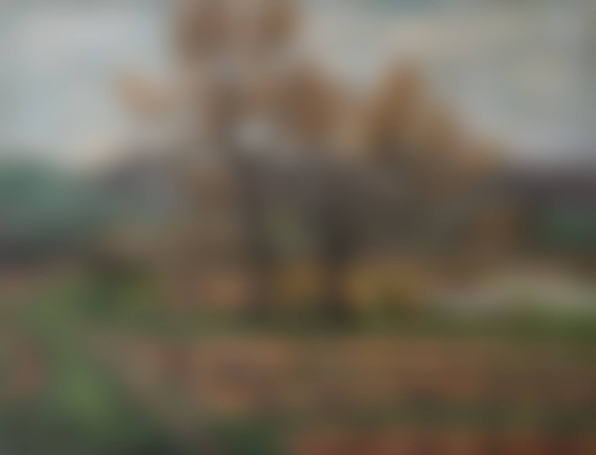 Paysage aux vignes (preview)