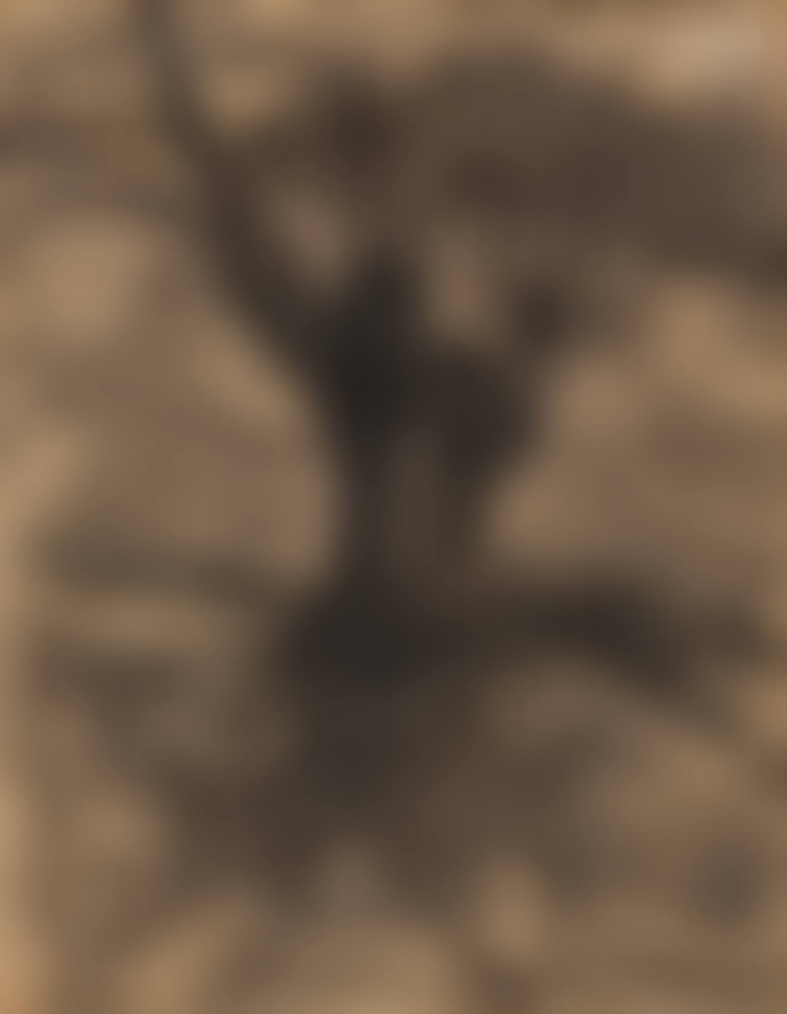 L'arbre (preview)