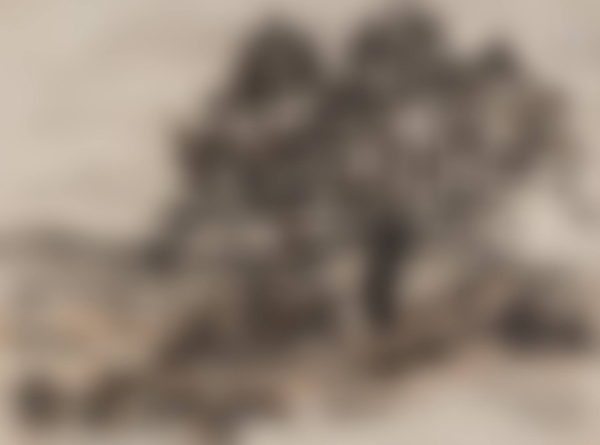 La route du Lavandou (preview)