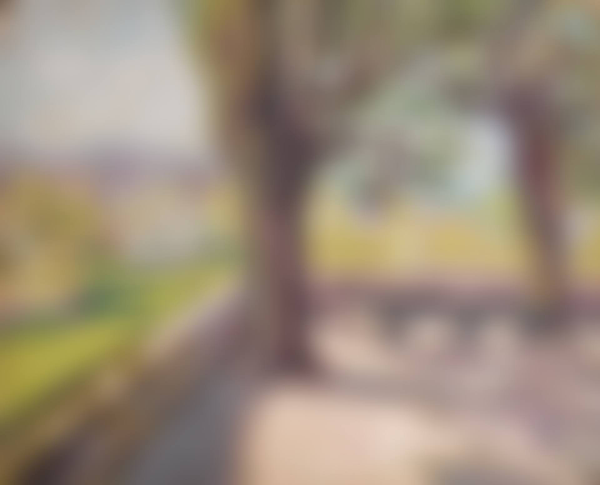 Vue depuis le parc à Melun (preview)