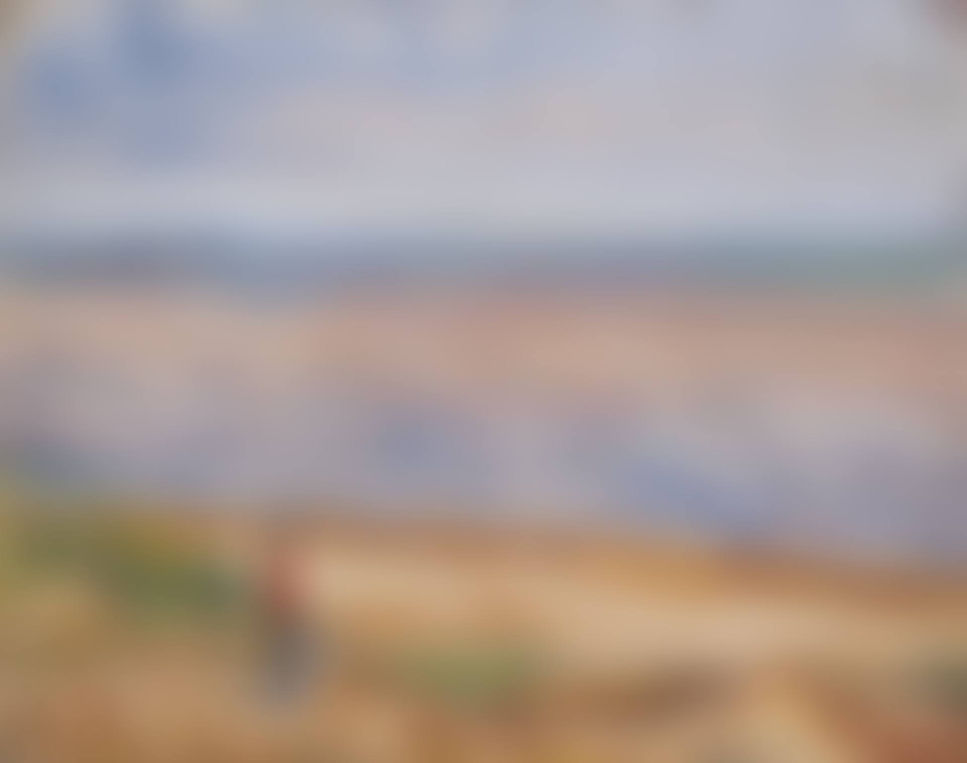 Promeneuse en bord de mer (preview)