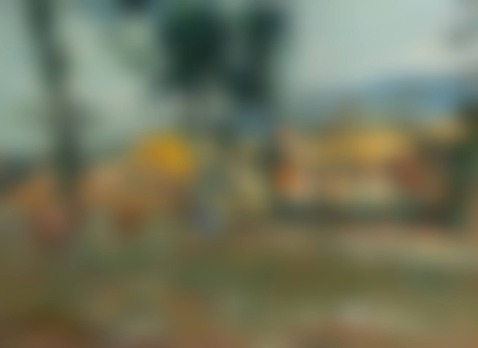 Paysage, environs de Toulouse (preview)