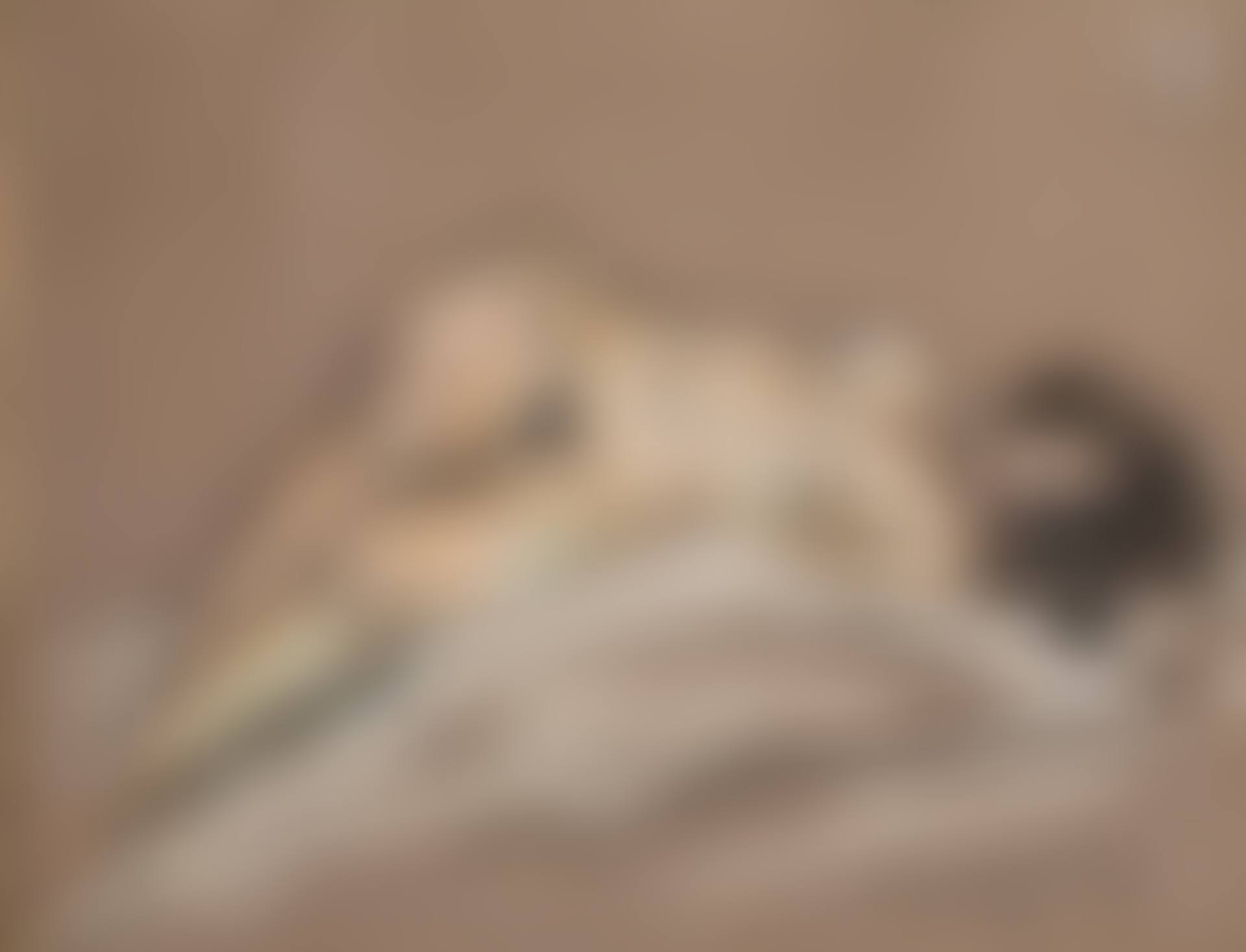 Nu couché (preview)