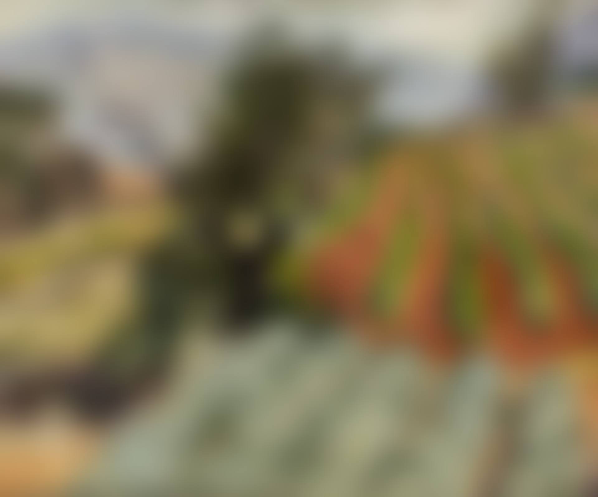Paysage, environs de Ménerbes (preview)
