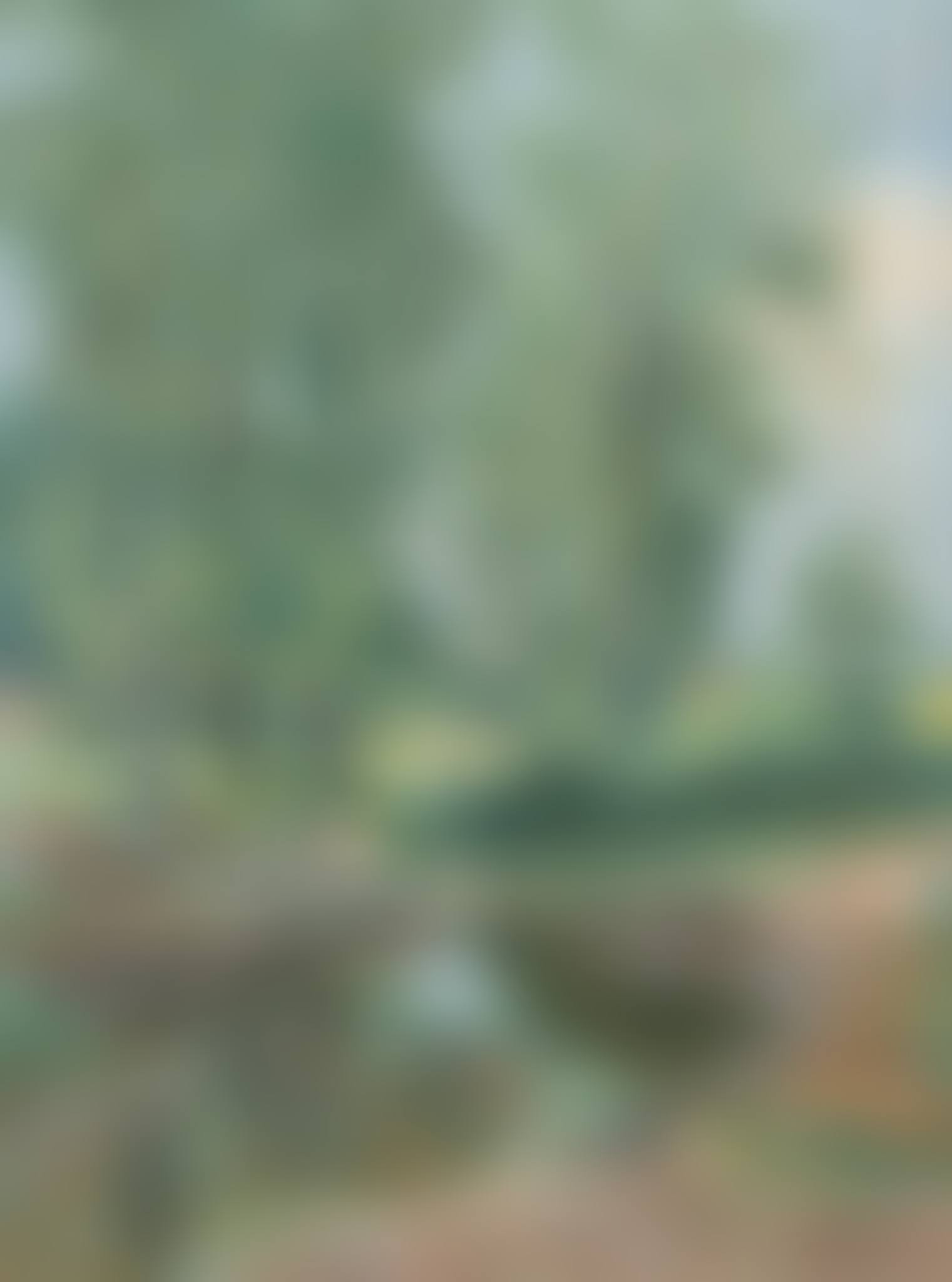 Paysage au bord de la rivière (preview)