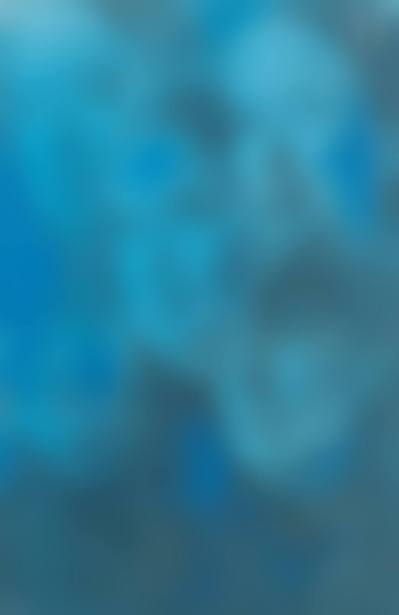 Visages (preview)