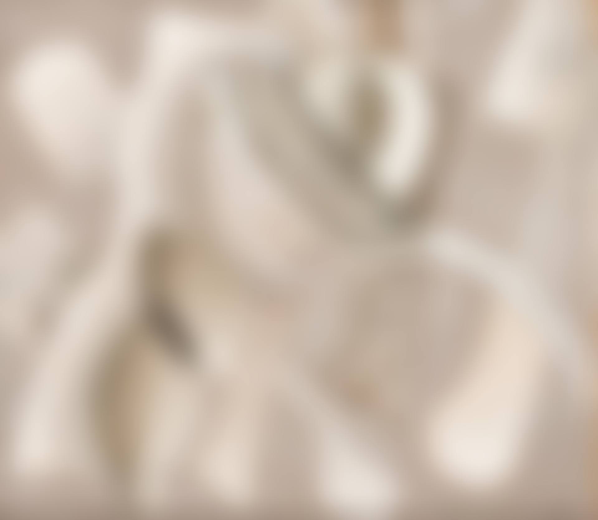 Nature morte aux couverts (preview)