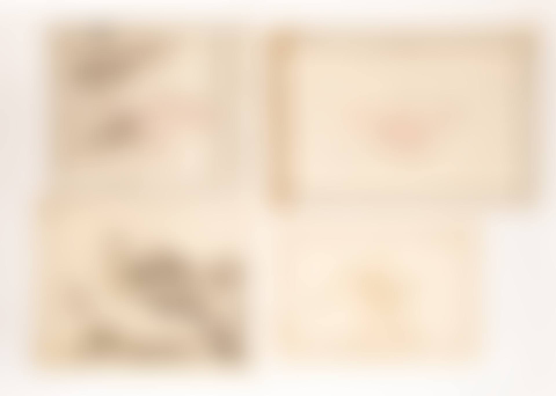 Smaller Detail Maps Silesian Wars Mid-18th C. (preview)