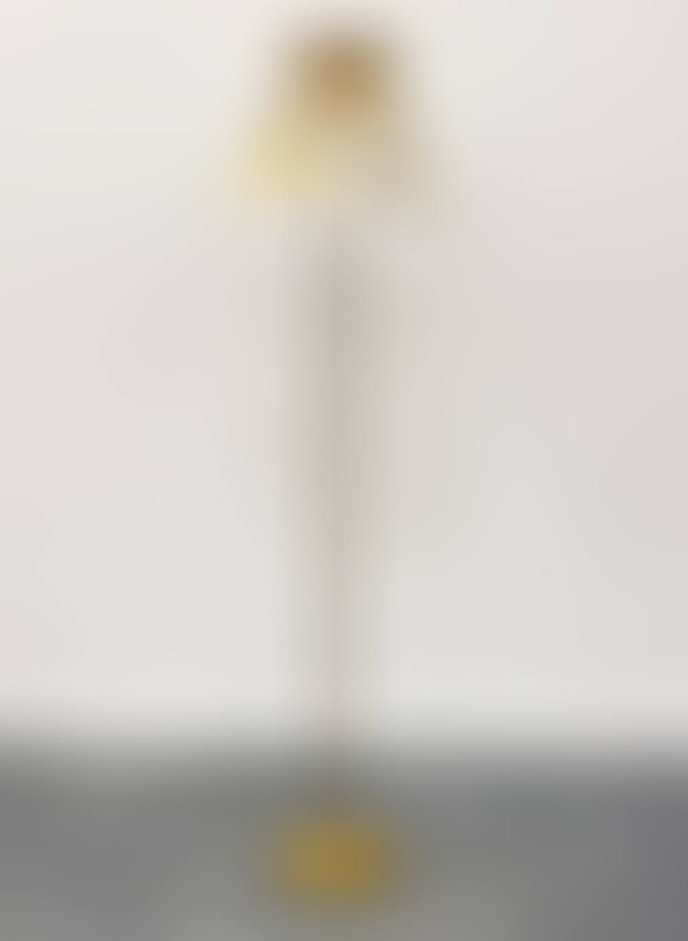 Brass Floor Lamp (preview)