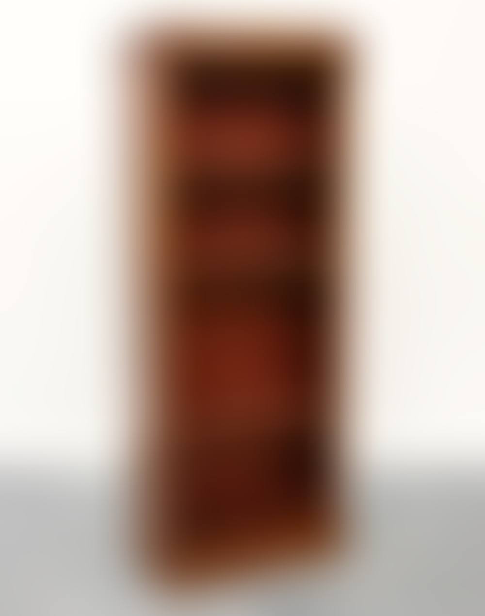 Scandinavian Mahogany Bookcase (preview)