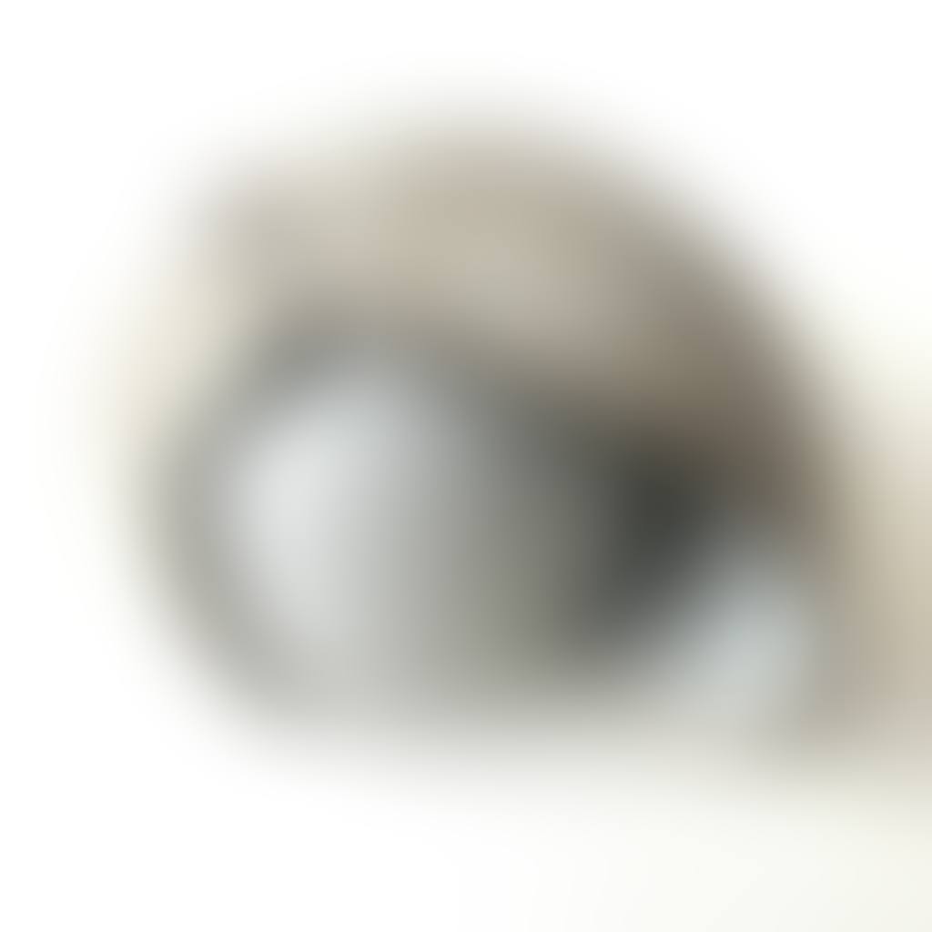 Metamorphosis (preview)