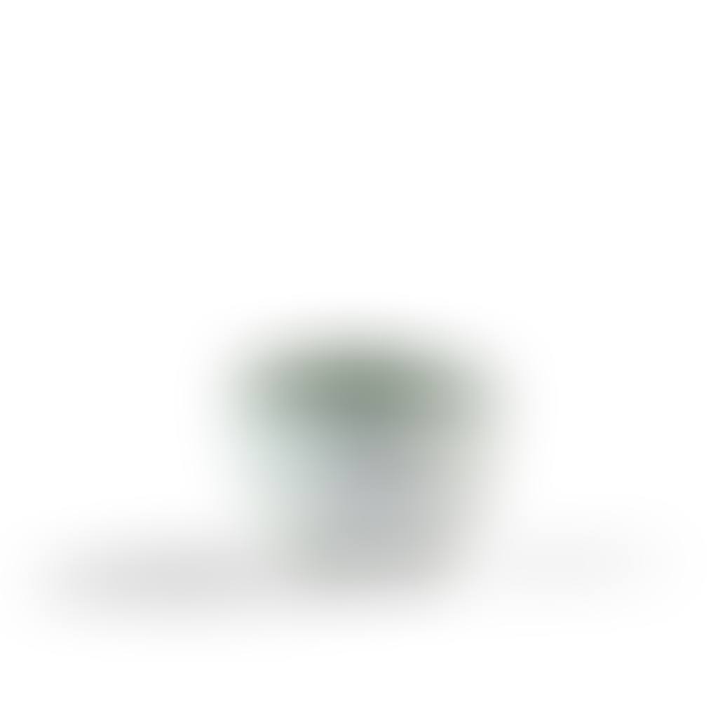 Bowl (preview)