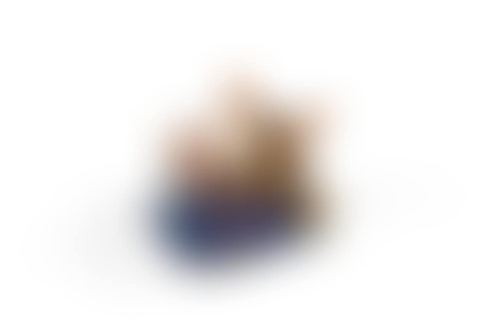 Slingshot Island (preview)
