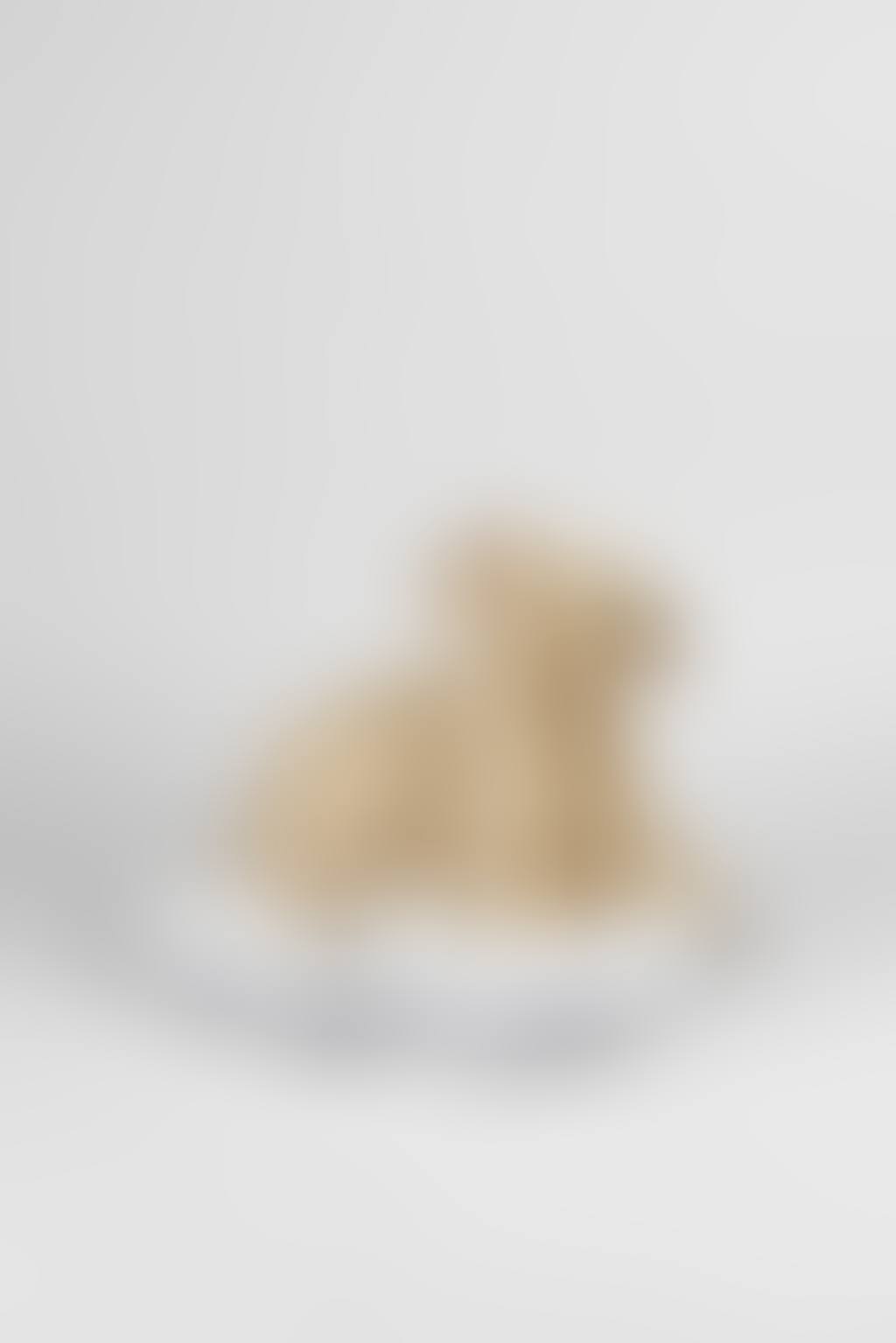 Two Headed Lamb (preview)
