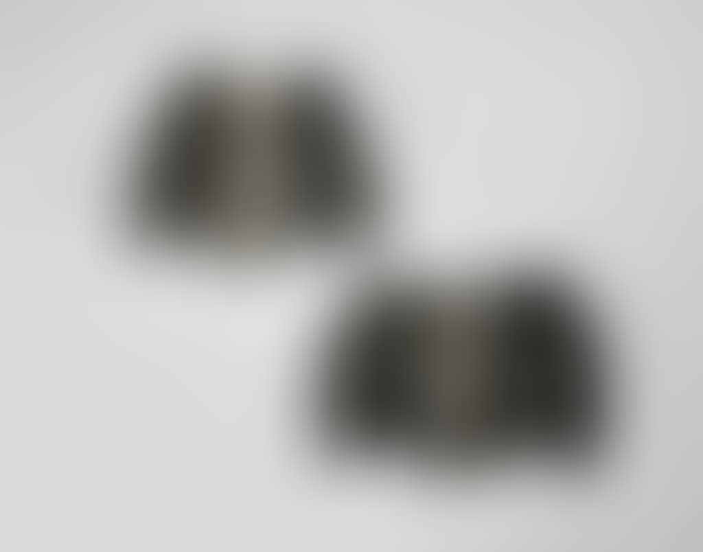Chauve-souris (preview)