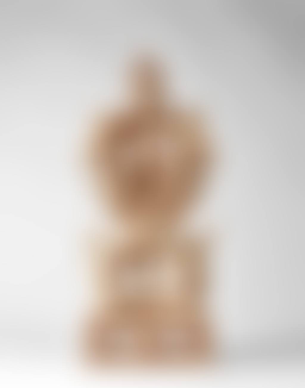 WVZ 376 S (preview)