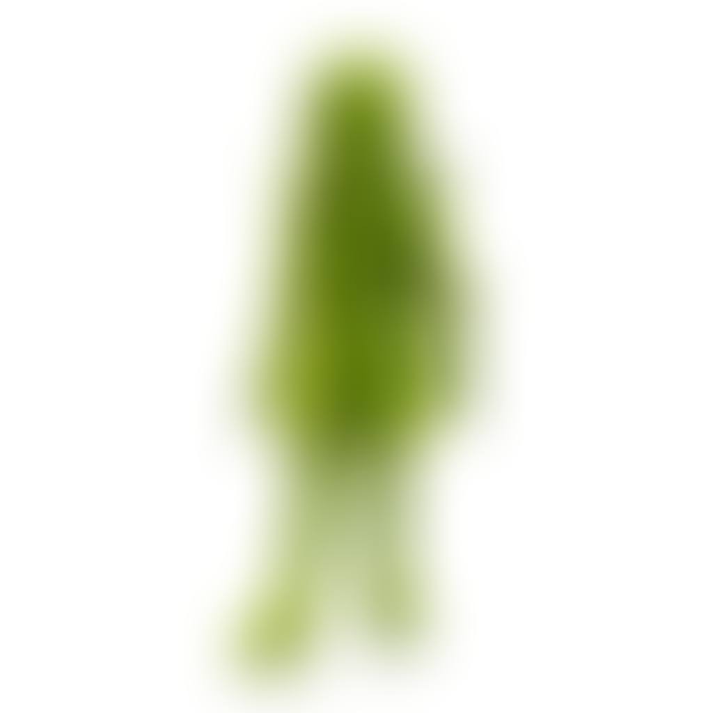 Moss boy with glass triangle (preview)