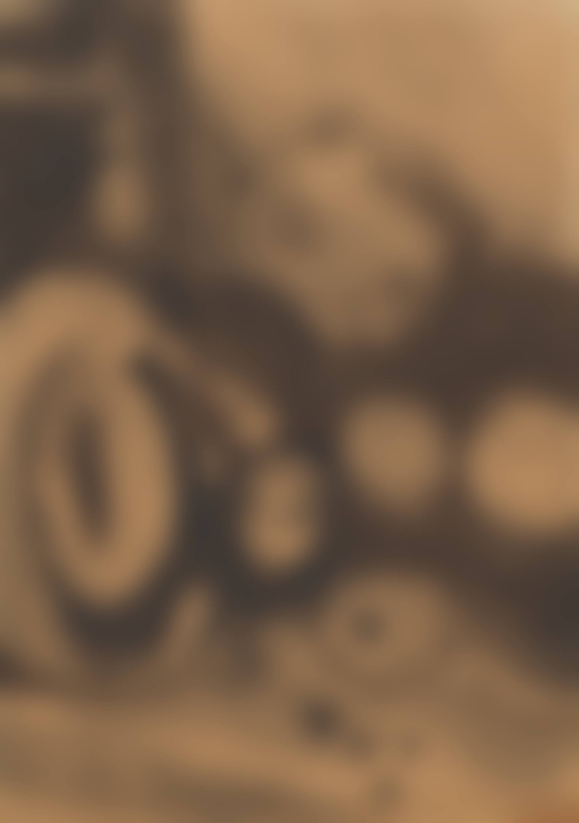 Visage-Germination (preview)