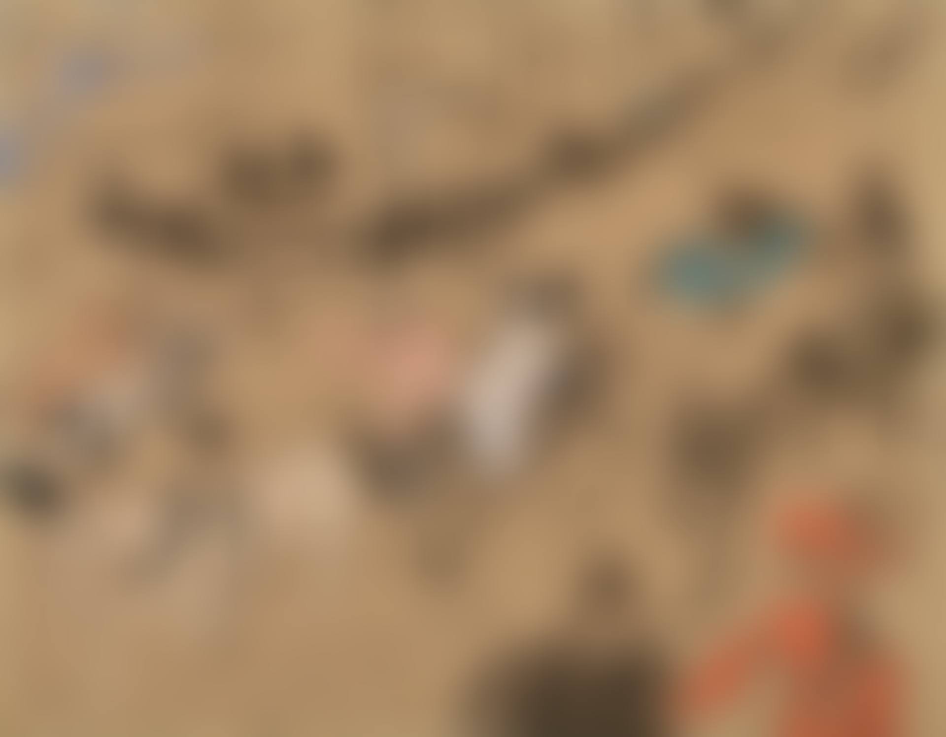 Les Fiacres (preview)