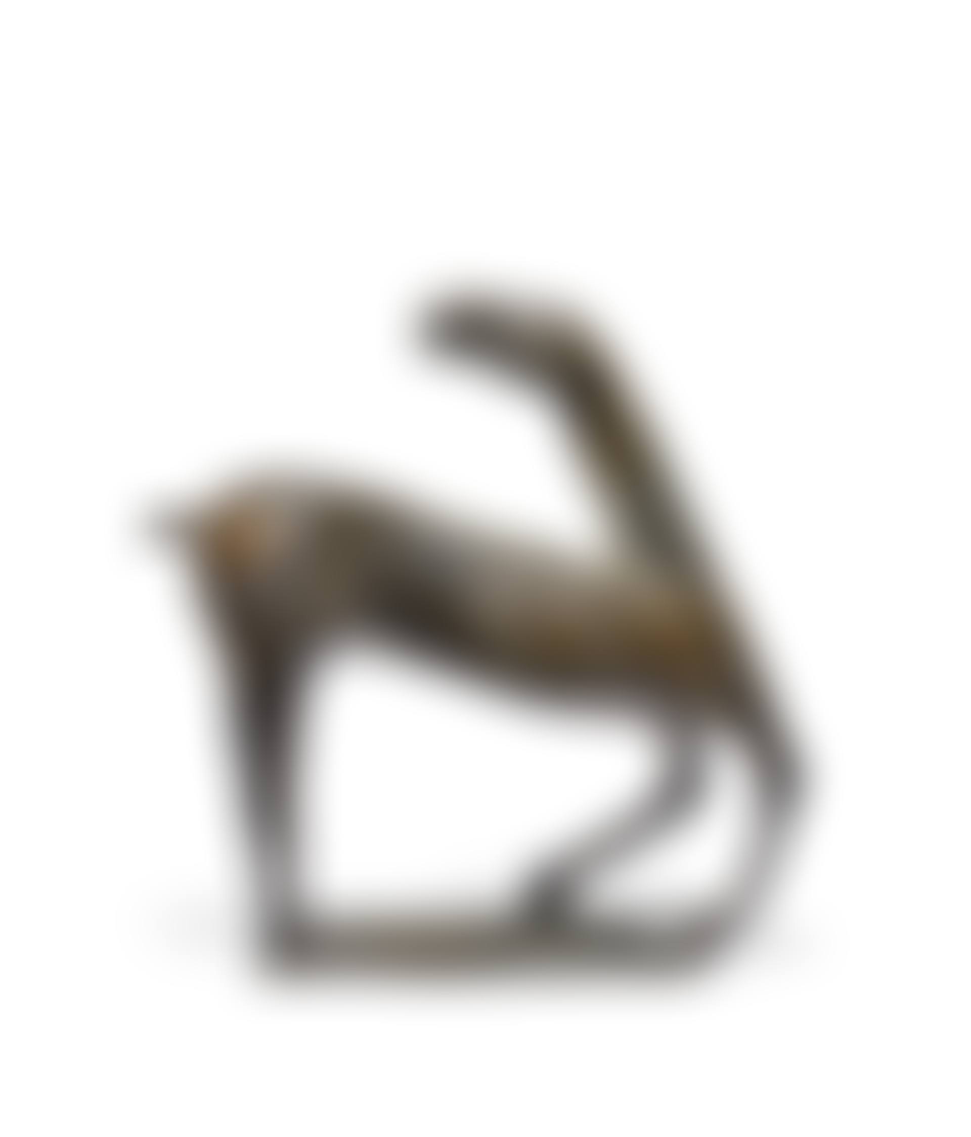 Cavallo (preview)