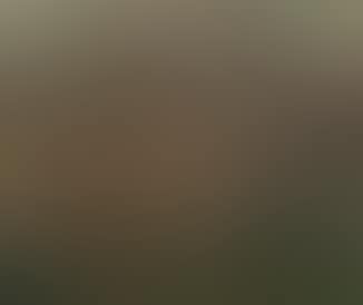 Landscape, Kyoto (preview)