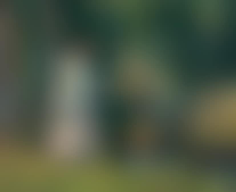 Madame Guillaumin Pechant (preview)