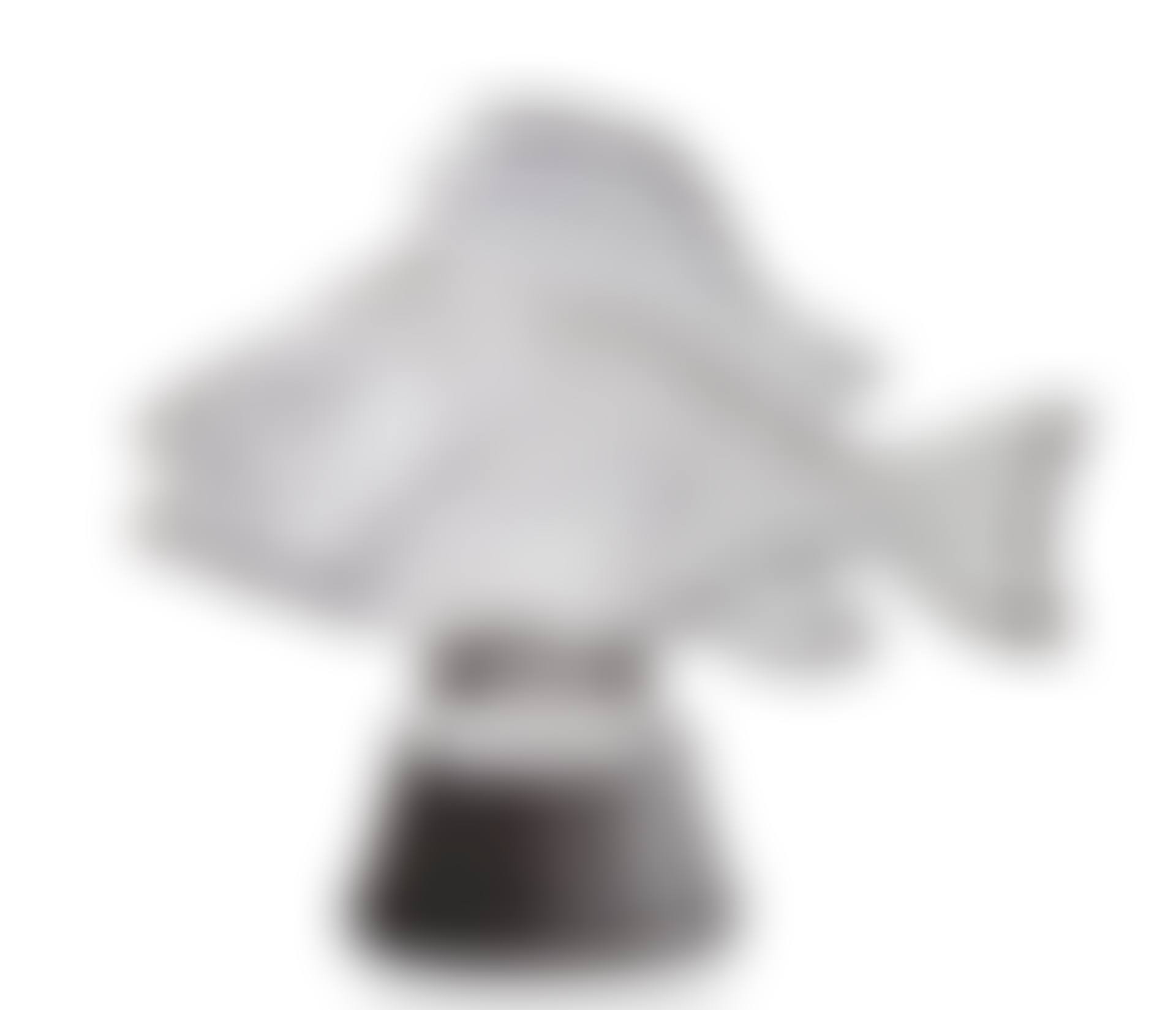 GROS POISSON, ALGUES CENTREPIECE, NO. 1101 (preview)