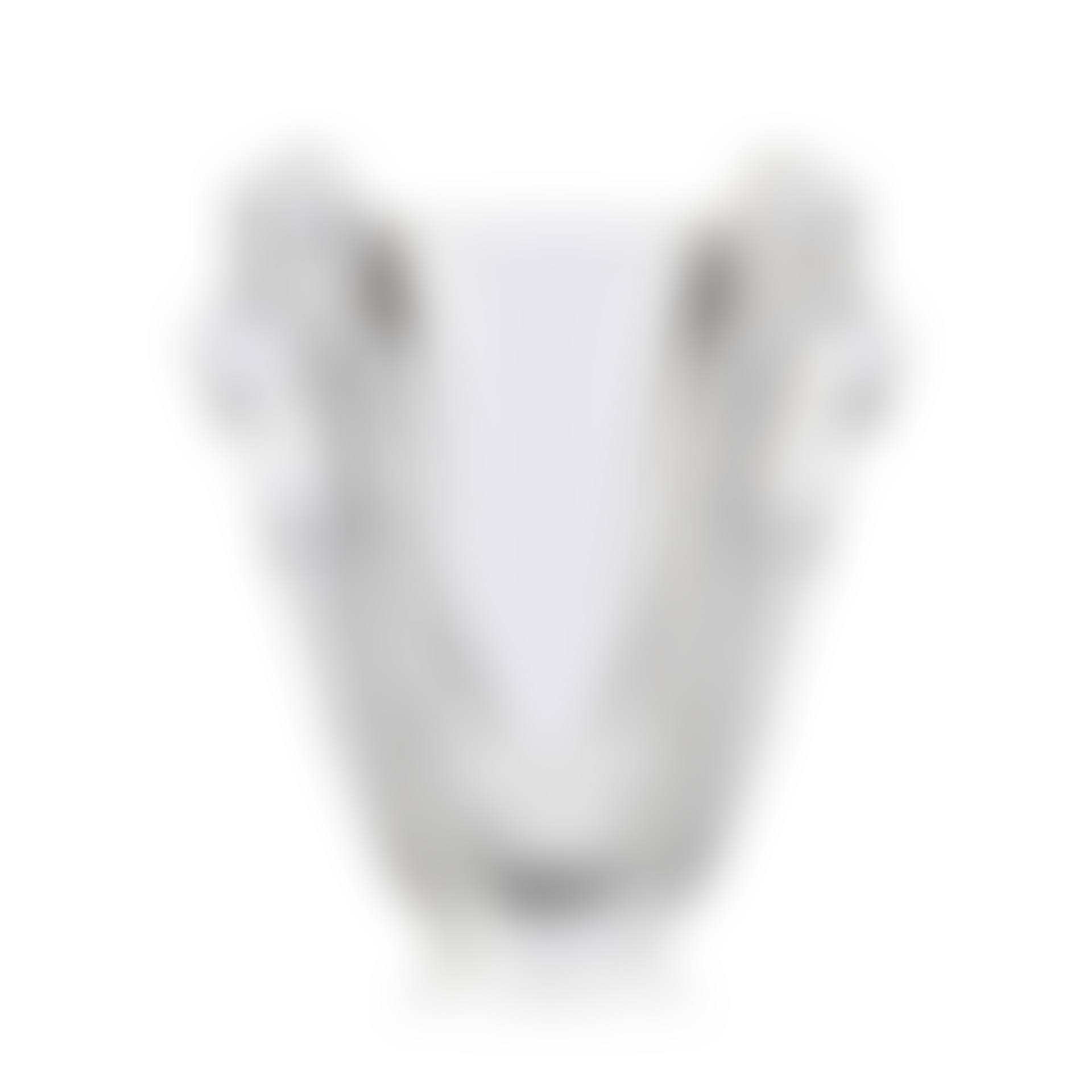 AURORA VASE, NO. 10038000 (preview)