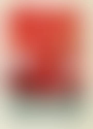 LITHOGRAPHIE 391 (preview)
