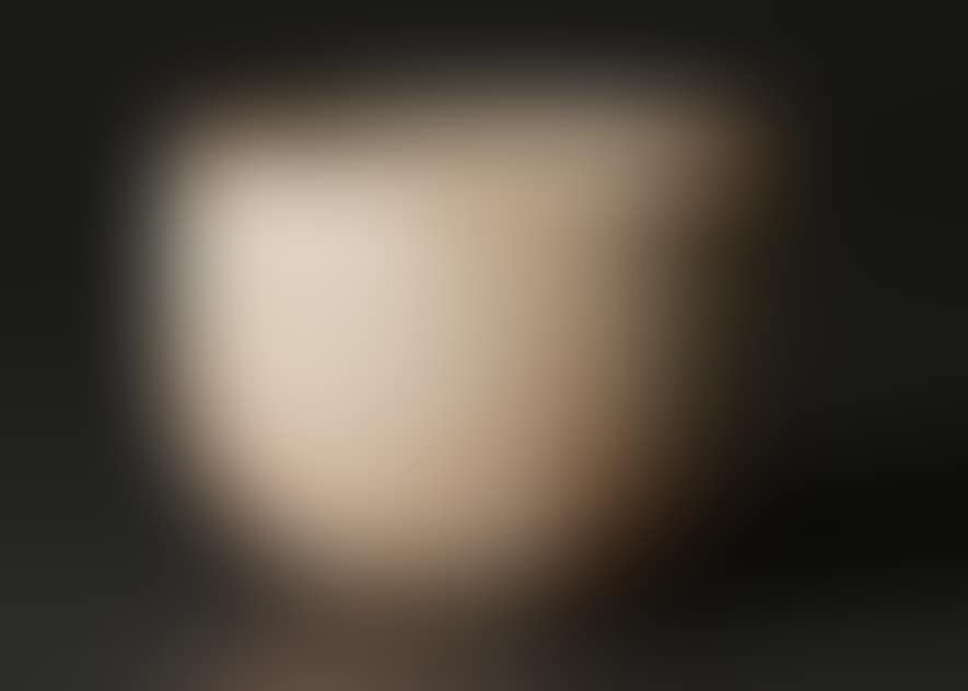 Shino tea bowl (preview)