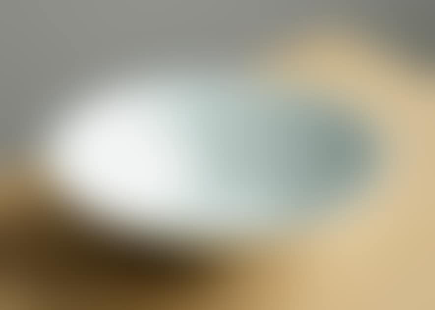 white bowl (preview)