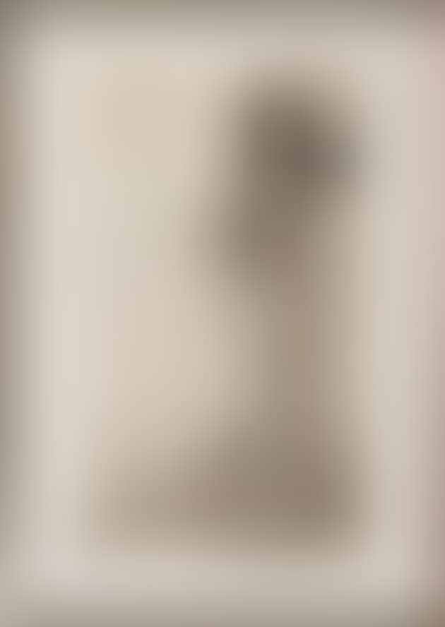 Unexpected guest (preview)