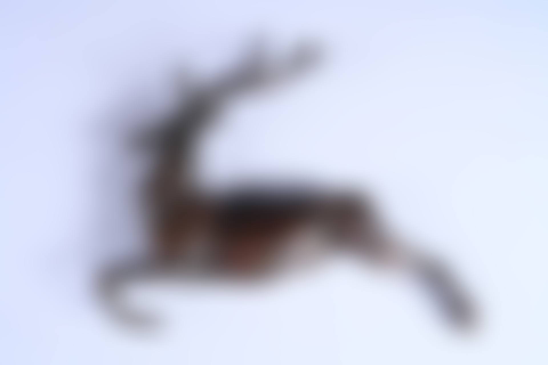 Galloping Deer (preview)