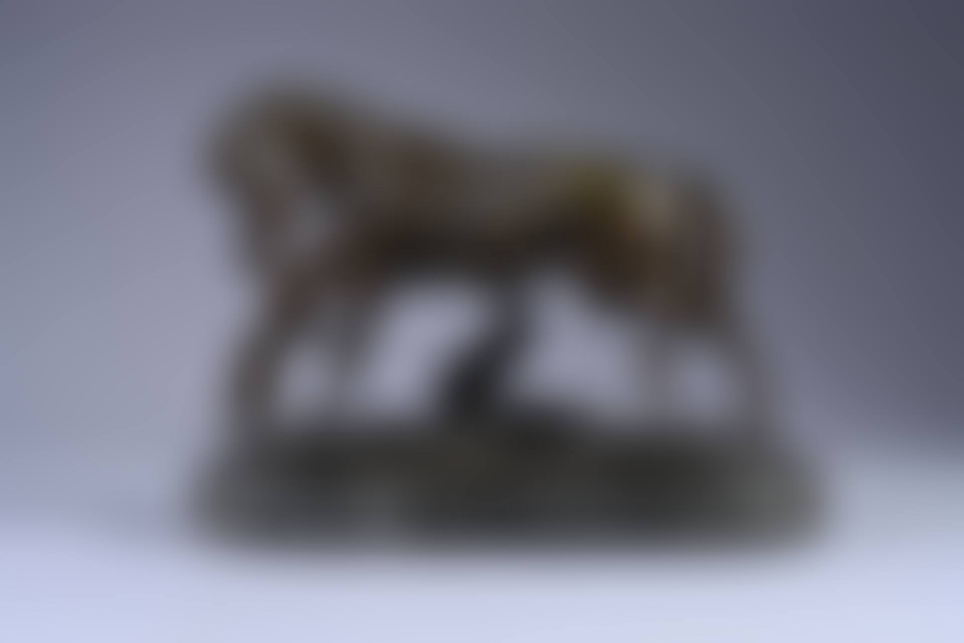 Horse and Dog (preview)