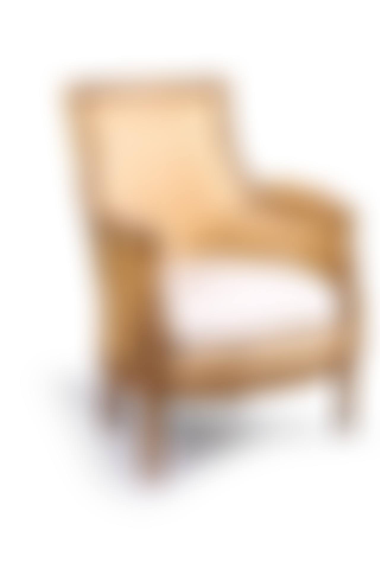 Bergère chair (preview)