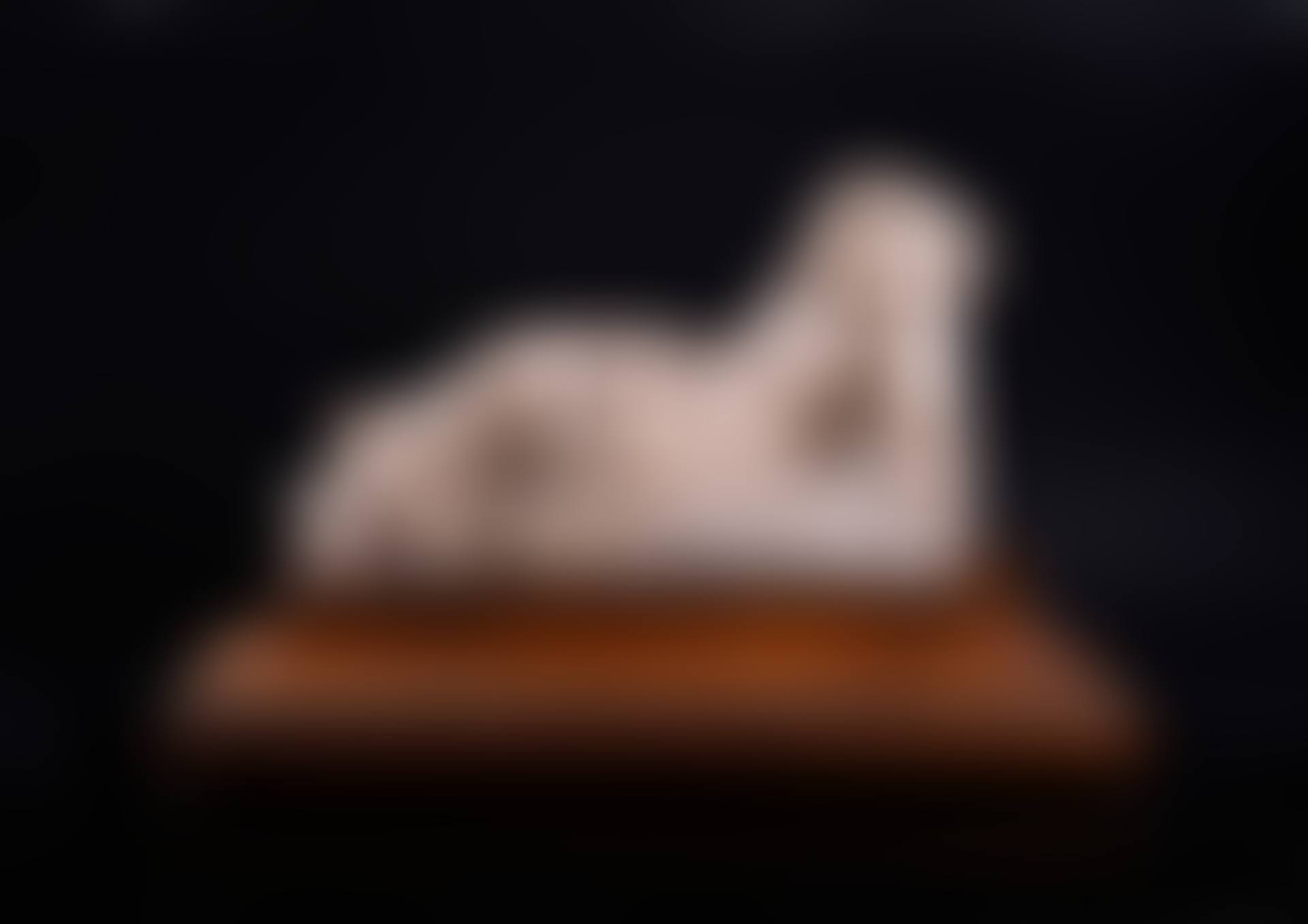 Sleeping Ariadne (preview)