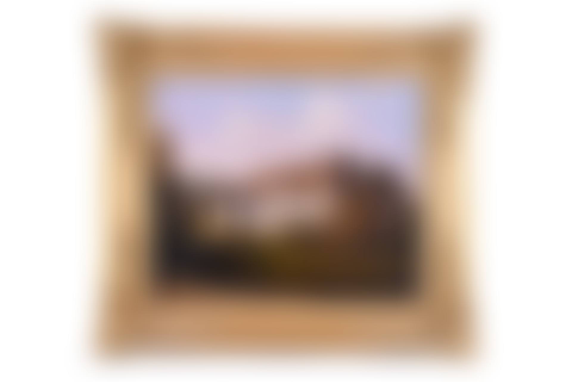 Château de Lacour-Senlisse (preview)