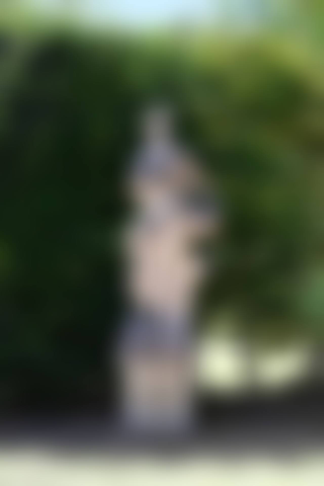 Le Printemps (preview)