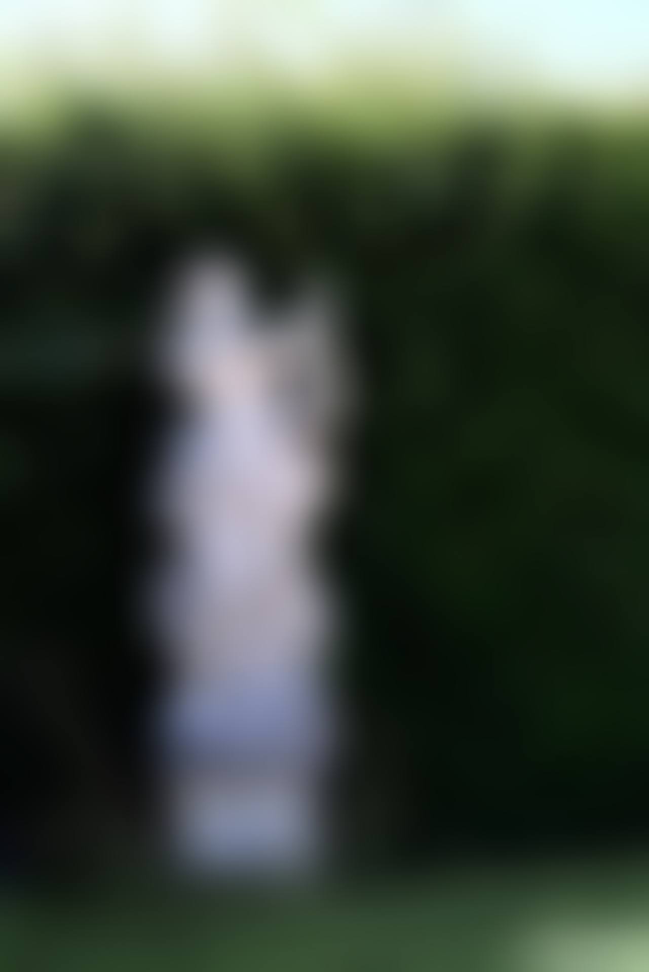 Abundance (preview)